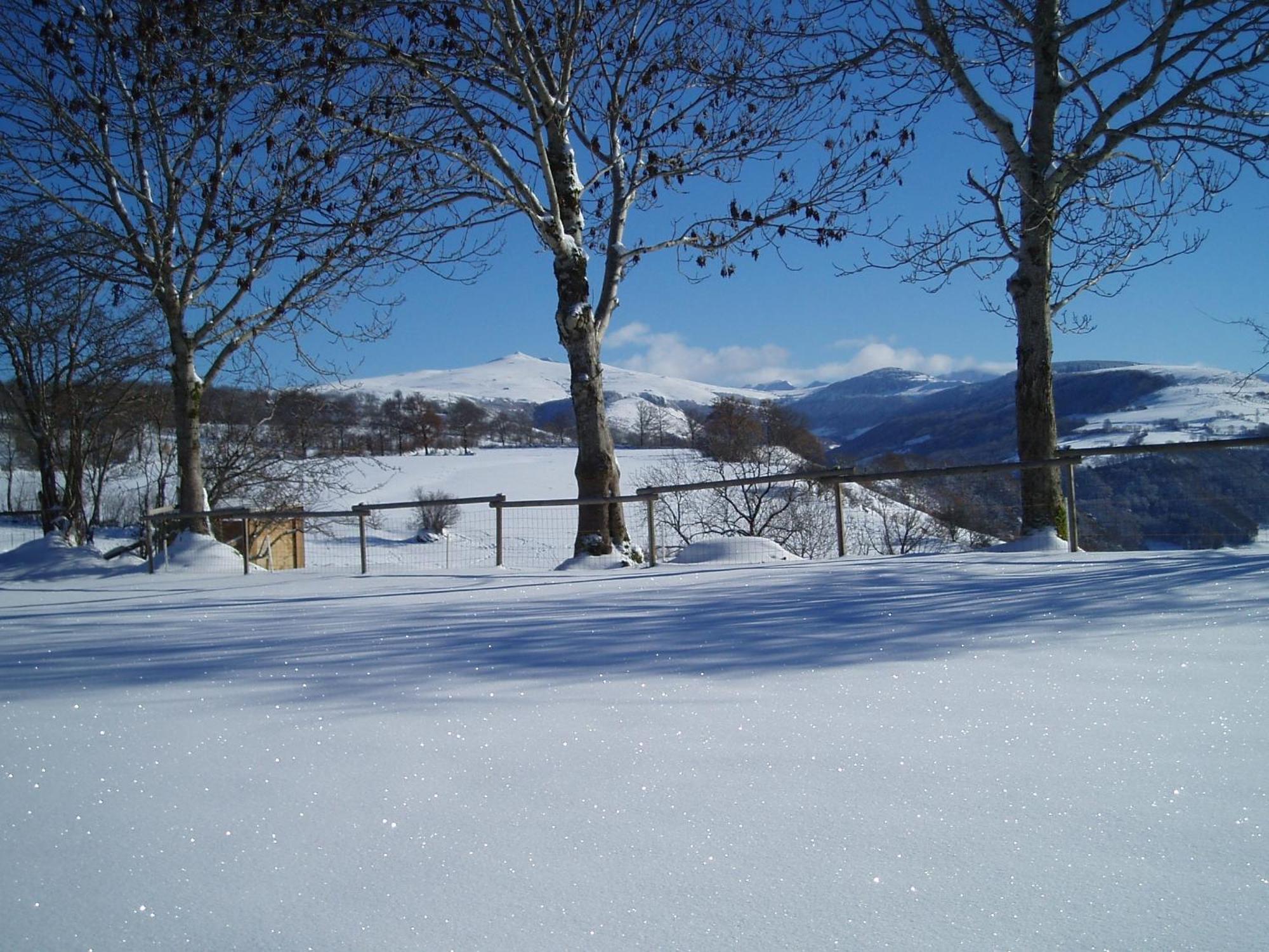 Domaine De La Chaux De Revel Konuk evi Saint-Martin-Valmeroux Dış mekan fotoğraf