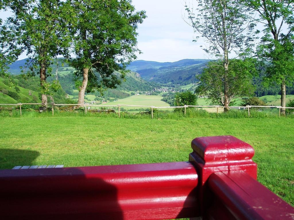 Domaine De La Chaux De Revel Konuk evi Saint-Martin-Valmeroux Dış mekan fotoğraf
